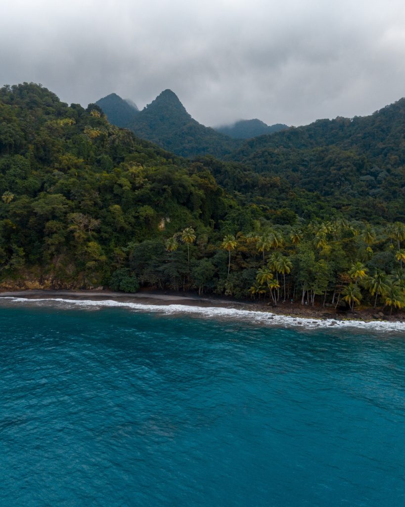 Martinique Montagne