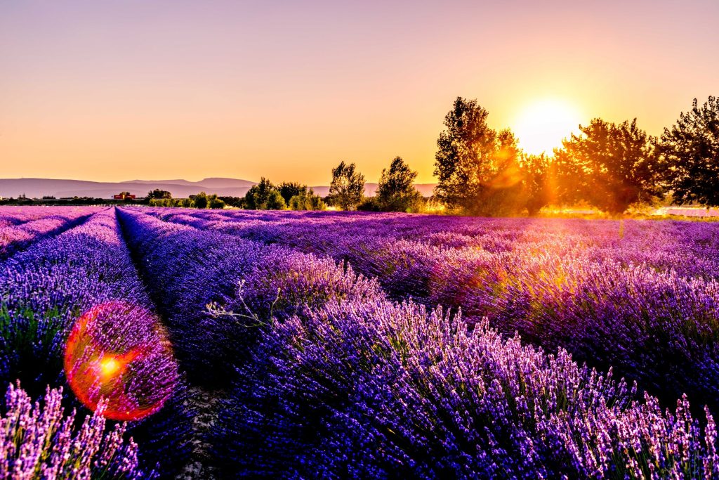 Voyage Provence