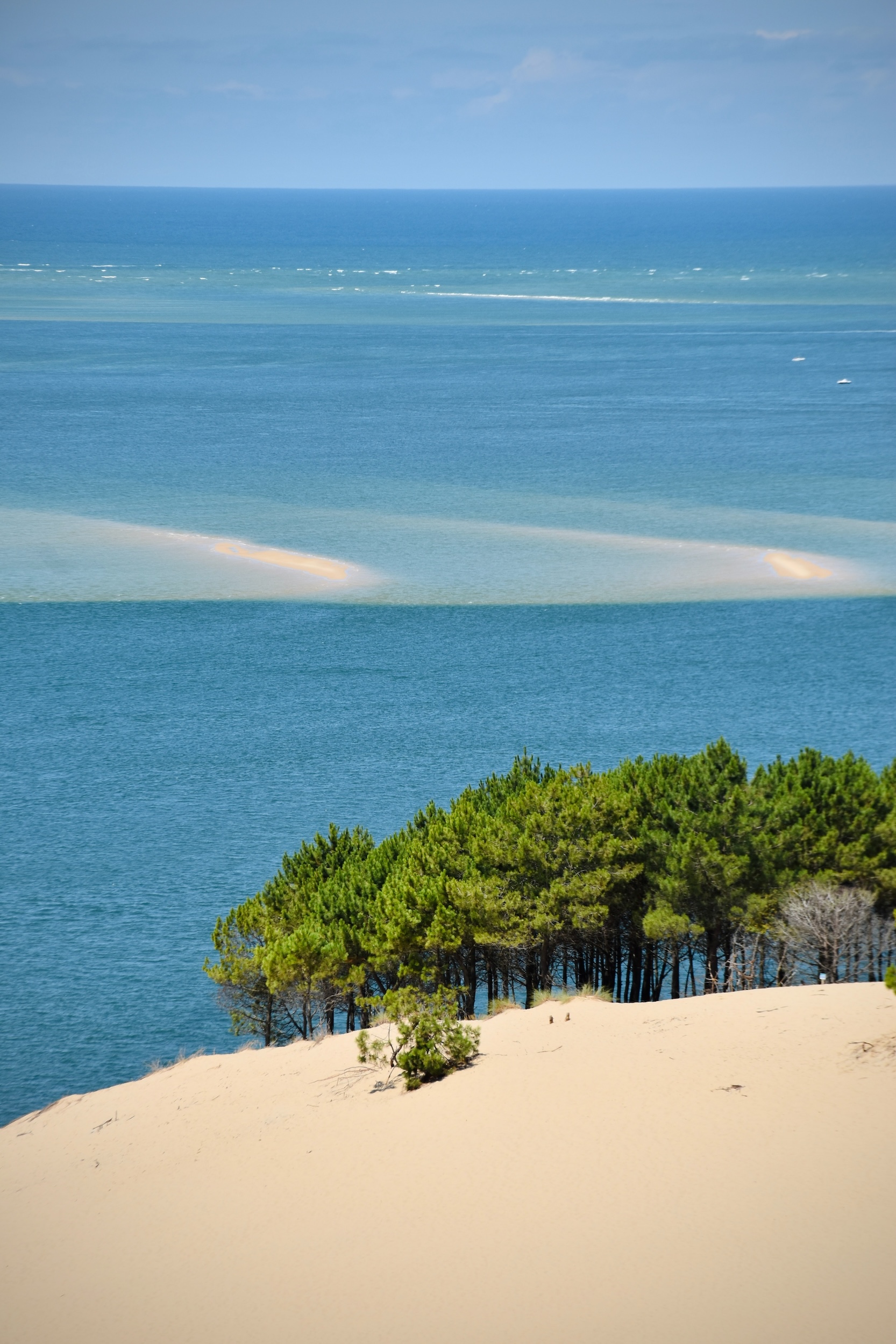 Dune Du Pilat Géologie Biodiversité Et Écologie